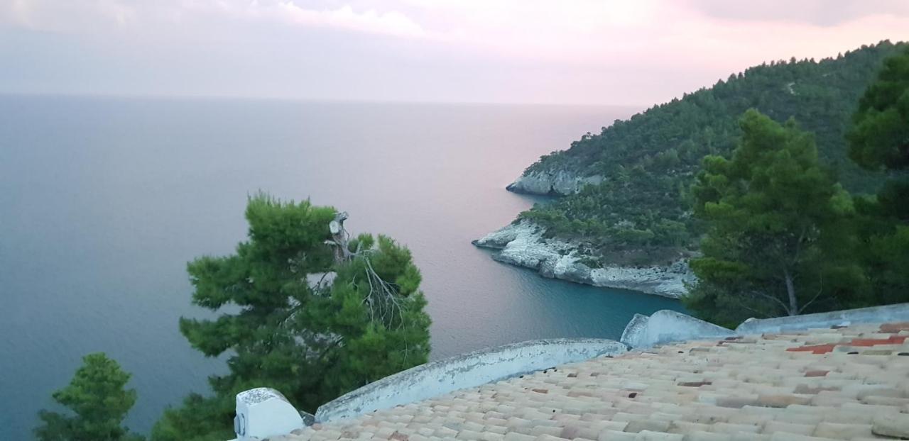 Villa Cala Della Pergola Vieste Bagian luar foto