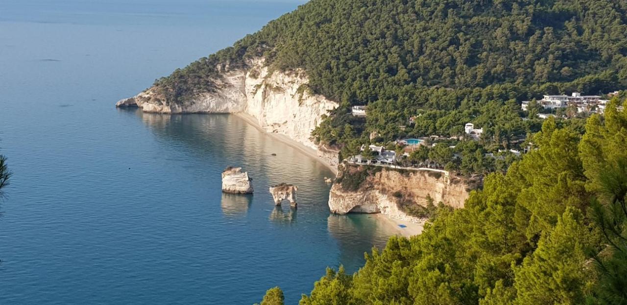 Villa Cala Della Pergola Vieste Bagian luar foto