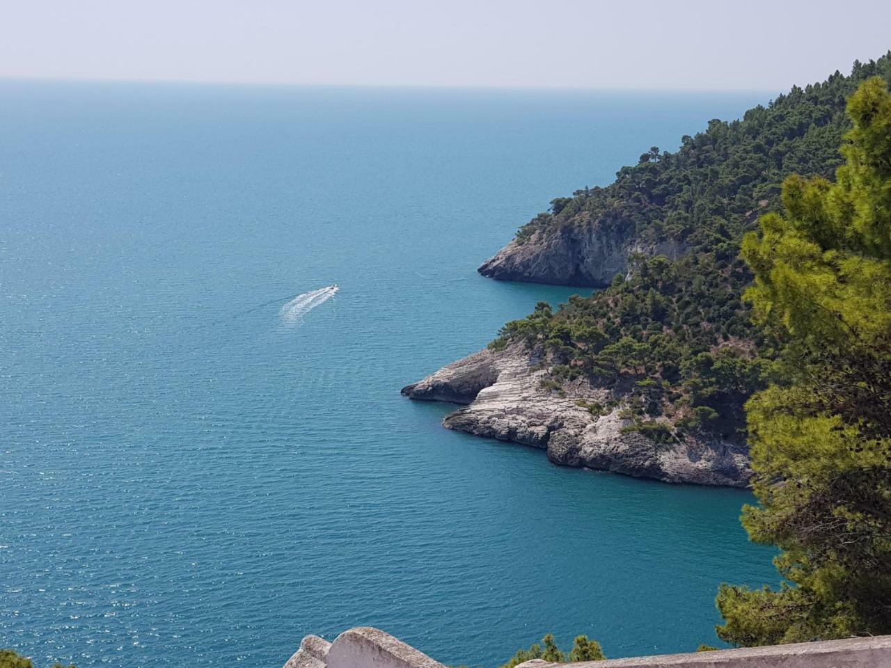 Villa Cala Della Pergola Vieste Bagian luar foto